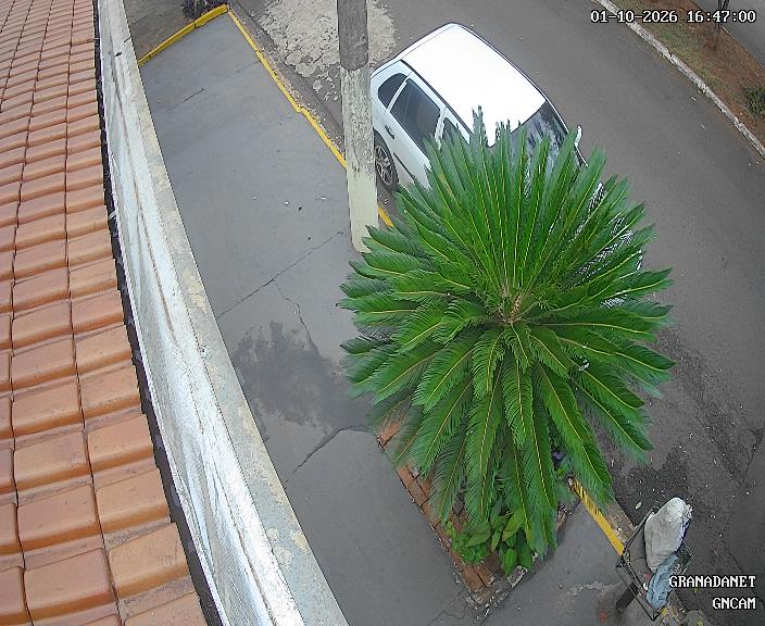 Live camera in Nova Granada